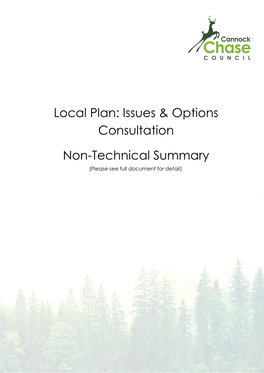 Local Plan Summary