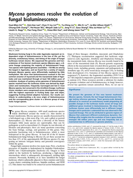 Mycena Genomes Resolve the Evolution of Fungal Bioluminescence