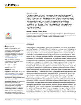 Craniodental and Humeral Morphology of A