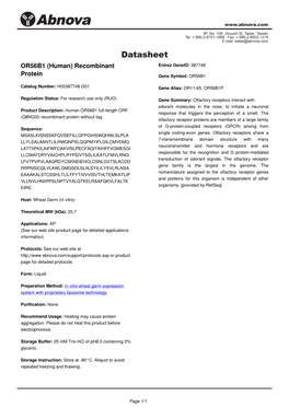 OR56B1 (Human) Recombinant Protein