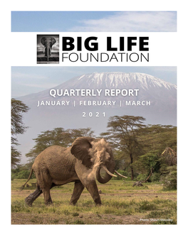 Blf Quarterly Report