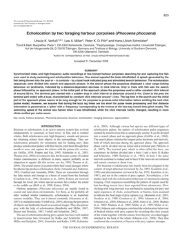 Echolocation by Two Foraging Harbour Porpoises (Phocoena Phocoena)