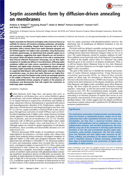 Septin Assemblies Form by Diffusion-Driven Annealing on Membranes