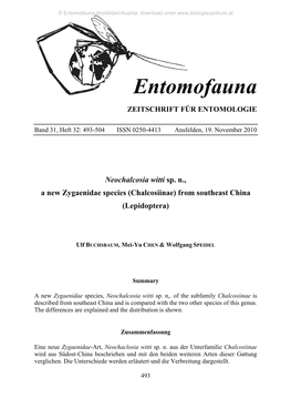 Entomofauna Ansfelden/Austria; Download Unter