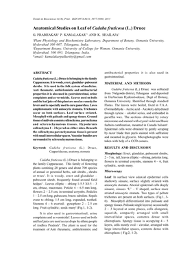 Anatomical Studies on Leaf of Cadaba Fruticosa (L.) Druce G
