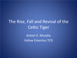 The Rise, Fall and Revival of the Celtic Tiger