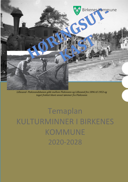 Temaplan KULTURMINNER I BIRKENES KOMMUNE