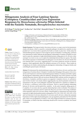 Mitogenome Analysis of Four Lamiinae Species (Coleoptera