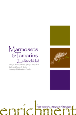 Marmosets and Tamarins, 2005