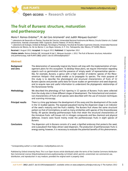 The Fruit of Bursera: Structure, Maturation and Parthenocarpy