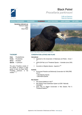 Black Petrel EN