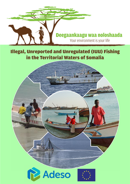Illegal, Unreported and Unregulated (IUU) Fishing in the Territorial