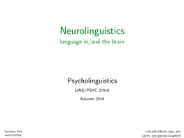 Neurolinguistics Language In/And the Brain