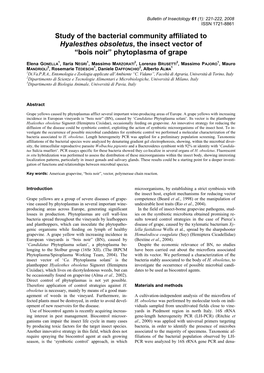 Study of the Bacterial Community Affiliated to Hyalesthes Obsoletus, the Insect Vector of “Bois Noir” Phytoplasma of Grape