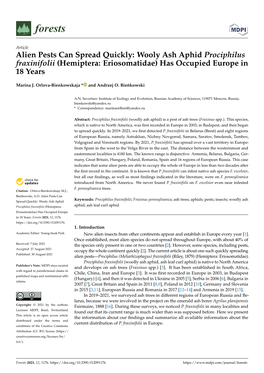 Wooly Ash Aphid Prociphilus Fraxinifolii (Hemiptera: Eriosomatidae) Has Occupied Europe in 18 Years