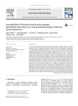 Susceptibility of Farmed Juvenile Giant Grouper Epinephelus Lanceolatus To