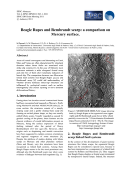 Beagle Rupes and Rembrandt Scarp: a Comparison on Mercury Surface