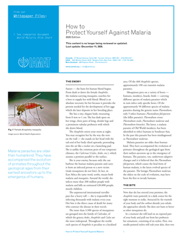 How to Protect Yourself Against Malaria 1 4