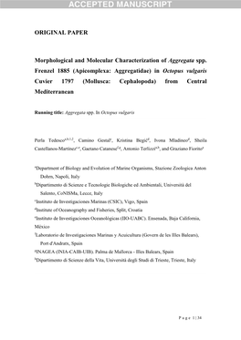 Morphological and Molecular Characterization of Aggregata Spp. Frenzel 1885 (Apicomplexa: Aggregatidae) in Octopus Vulgaris Cuvi