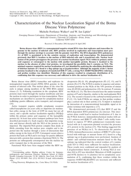 Characterization of the Nuclear Localization Signal of Borna Disease