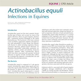 Actinobacillus Equuli Infections in Equines