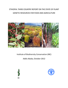 Ethiopia: Third Country Report on the State of Plant Genetic Resources for Food and Agriculture