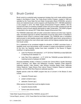 Brush Control