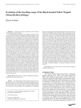 Evolution of the Breeding Range of the Black-Headed Yellow Wagtail (Motacilla Flava Feldegg)