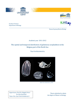 The Spatial and Temporal Distribution of Gelatinous Zooplankton in the Belgian Part of the North Sea