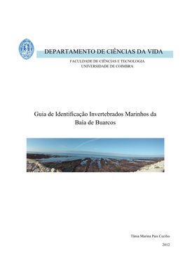 Guia De Identificação Invertebrados Marinhos Da Baía De Buarcos