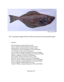 2017 Assessment Update for the US West Coast Stock of Arrowtooth Flounder