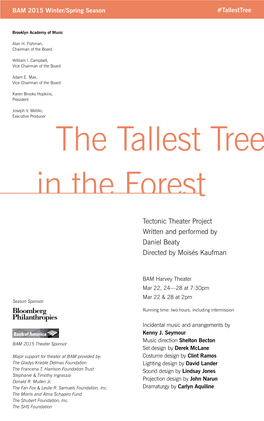 The Tallest Tree in the Forest