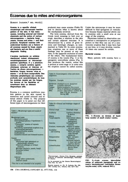 Eczemas Due to Mites and Microorganisms