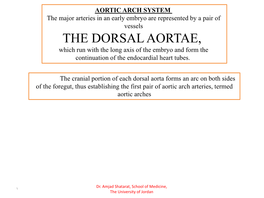 THE DORSAL AORTAE, Which Run with the Long Axis of the Embryo and Form the Continuation of the Endocardial Heart Tubes