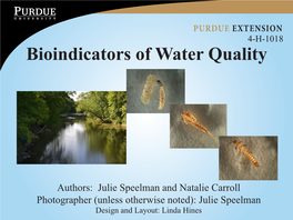 Bioindicators of Water Quality, Flash Cards