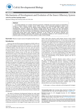 Mechanisms of Development and Evolution of the Insect Olfactory System Jia W