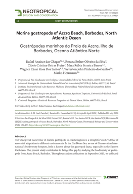 Marine Gastropods of Accra Beach, Barbados, North Atlantic Ocean ﻿Gastrópodes Marinhos Da Praia De Accra, Ilha De Barbados