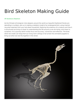 Bird Skeleton Making Guide