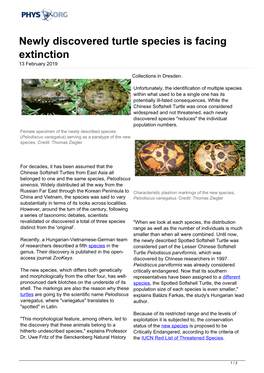 Newly Discovered Turtle Species Is Facing Extinction 13 February 2019