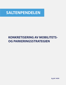 Parkeringsstrategi for Saltenpendelen.Pdf