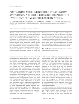 Postcanine Microstructure in Cricodon Metabolus