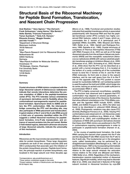 Structural Basis of the Ribosomal Machinery for Peptide Bond Formation, Translocation, and Nascent Chain Progression