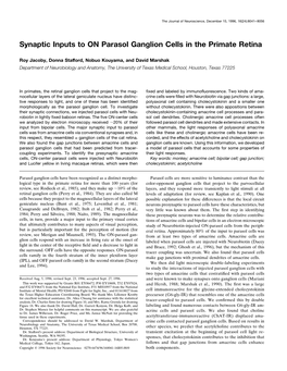 Synaptic Inputs to on Parasol Ganglion Cells in the Primate Retina