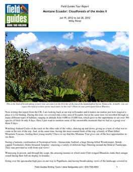 FIELD GUIDES BIRDING TOURS Montane Ecuador Cloudforests Of