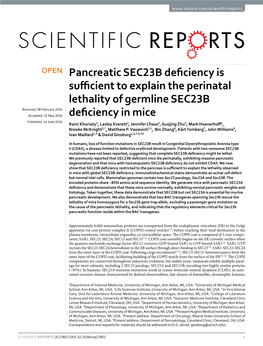 Pancreatic SEC23B Deficiency Is Sufficient to Explain the Perinatal