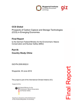 CCS Global Final Report
