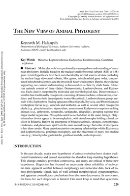 The New View of Animal Phylogeny