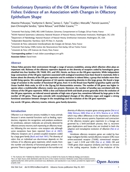 Evolutionary Dynamics of the OR Gene Repertoire in Teleost Fishes