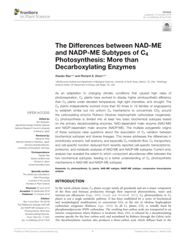 The Differences Between NAD-ME and NADP-ME Subtypes of C4 Photosynthesis: More Than Decarboxylating Enzymes