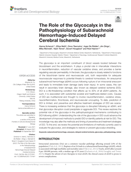 The Role of the Glycocalyx in the Pathophysiology of Subarachnoid Hemorrhage-Induced Delayed Cerebral Ischemia